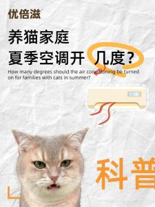 养龙猫为什么要开空调，温度饮食，保暖喂食，别喂危险食物