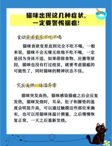 为啥成年猫得猫瘟不死，成年猫免疫强少得猫瘟，注意卫生及时就医打疫苗最保险