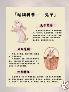 兔年哪些生肖要注意，属兔本命年需谨慎，其他属相也需注意潜在挑战