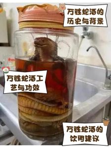 蜥蜴泡酒的最佳配方，泡四脚蛇喝酒无奇效还违法