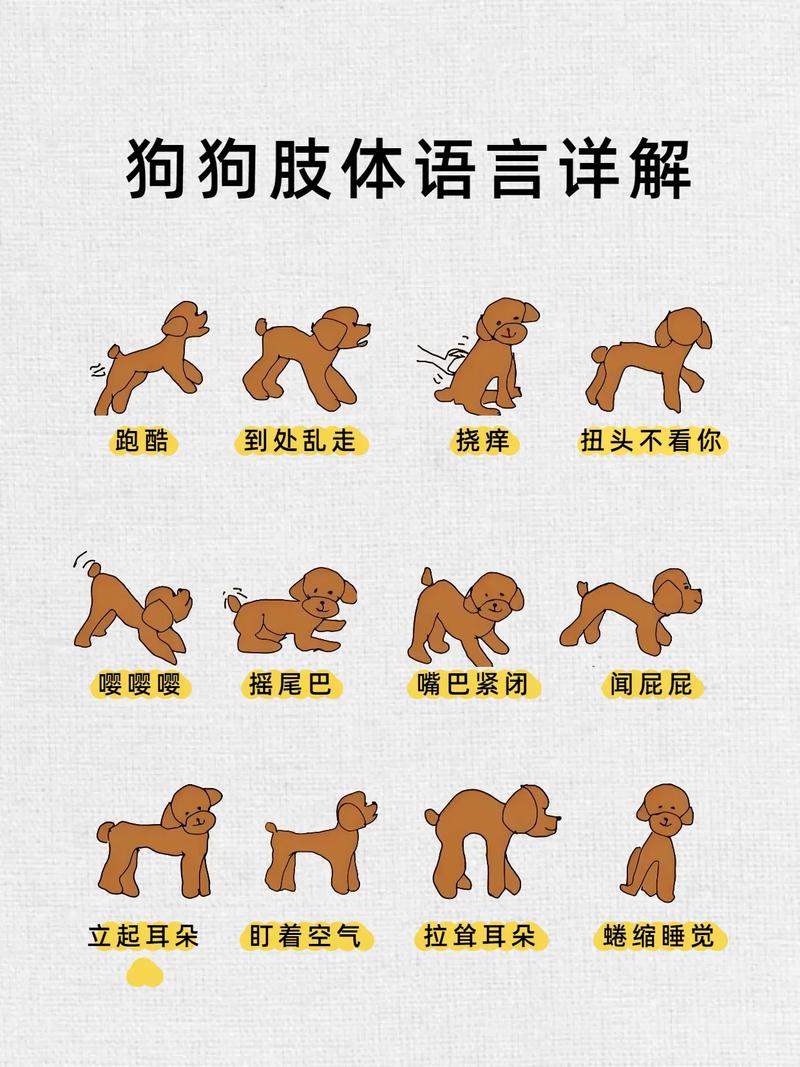小狗c语言代码,C语言小陷阱逗乐哥们儿 小狗c语言代码,C语言小陷阱逗乐哥们儿