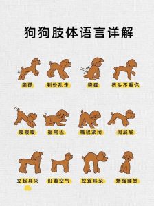 小狗c语言代码，C语言小陷阱逗乐哥们儿