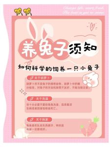 小兔子饲养注意事项，选对品种，备好用品，科学喂养，细心护理