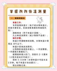 怎么量狗狗体温，狗狗肛门测温最准，测体温的正确方法