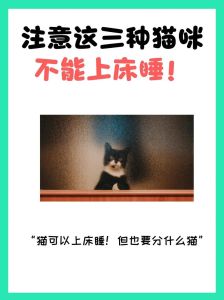 防猫上床小技巧，给它舒适窝，床边驱避法