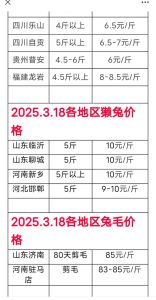 每只小兔子多少元，养兔子花费多？品种价钱大不同