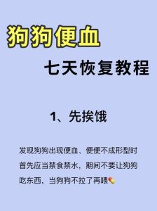 狗狗尿血最快解决方法，狗狗尿血？别慌，看这里！
