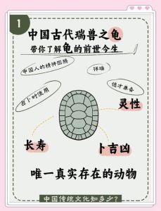 乌龟在古代的雅称，玄衣督邮通幽博士