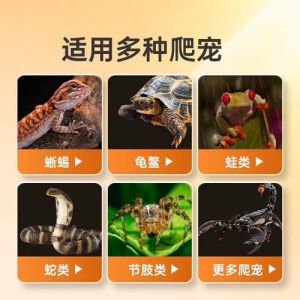 乌龟用uva还是uvb灯好，选对UVB晒背灯，龟壳硬邦邦！
