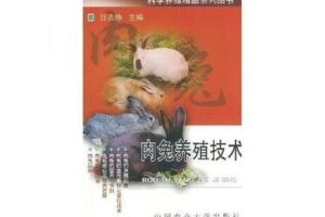 肉兔家庭养殖技术，选对种兔养肉兔，赚钱关键看这几点