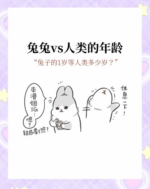 兔子活了5年算人类的几岁，兔子老了像人一样，寿命不同需关爱