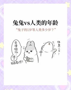 兔子活了5年算人类的几岁，兔子老了像人一样，寿命不同需关爱
