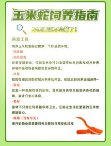 养蛇怎么找销路，卖蛇先找对客户，网上视频讲好价，售后养法有责任