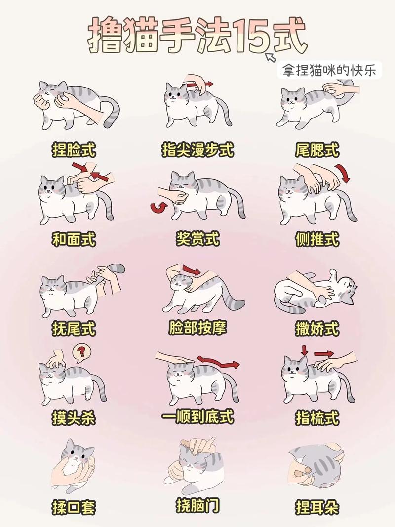 怎样撸猫才让猫最舒服，摸猫下巴耳朵后背肉垫最舒服！