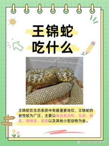 养殖蛇允许食用吗，吃养殖蛇合法吗？正规养殖注意卫生安全可吃