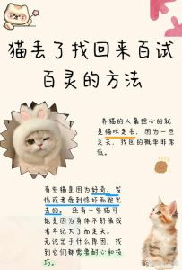 找回猫咪的民间方法，快速找回走失猫咪