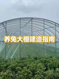 养兔大棚500只建造价格多少，选址设计要科学，别花冤枉钱！