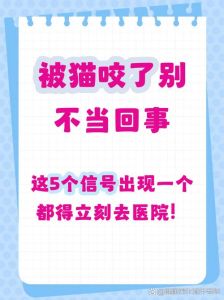 被猫咬后怎样确定人没事，猫咬了别慌？看情况快处理！