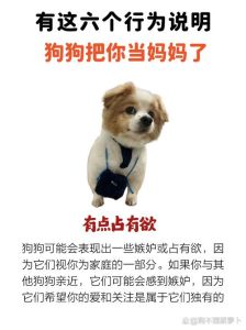 以前养狗 现在怕狗，怕狗原因及应对