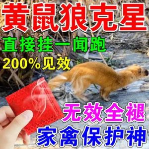养鸡场怎么驱赶黄鼠狼，黄鼠狼偷鸡怎么办？