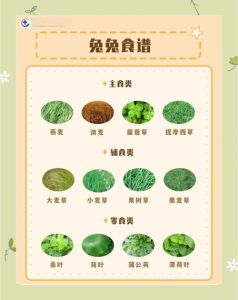 兔子忌口食物一览表，养兔子别乱喂！巧克力洋葱葡萄有毒，水果坚果也要小心