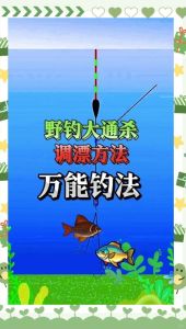 有鱼没口漂子上推还是下拉，浮漂不动有鱼星？跟鱼口较劲，灵敏信号拿捏！