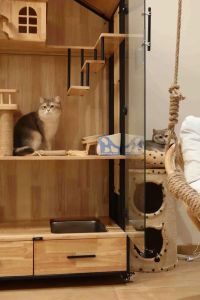 猫是放养好还是放猫别墅养着好，放养猫咪更快乐，但要注意安全防危险