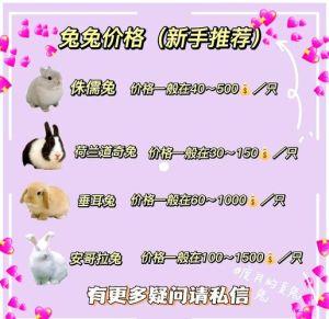 养兔一只能赚多少钱，养兔赚钱香了？小兔变钱袋看门道！
