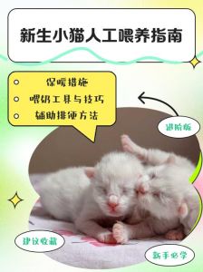 猫生了8只小猫能养活吗，母猫产八仔难照料，家人出手解围却费心