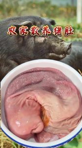 兔肚的毒性有多强，兔肚无毒会做法，营养好吃别乱来