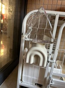 养兔常用的饮水设备有哪三种，养兔子选对饮水器，省心又干净！