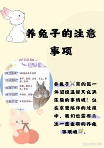 养兔幼崽的好处，养只小兔子，可爱粘人解忧，还能锻炼身体，增加收入，教孩子责任