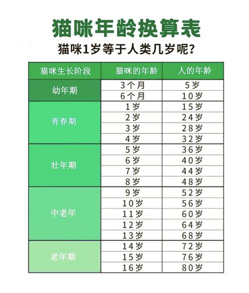 猫5岁相当于人多少岁,五岁猫咪相当于人类多大岁数? 猫5岁相当于人多少岁,五岁猫咪相当于人类多大岁数?