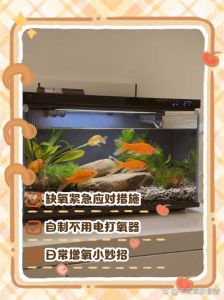 鱼缸缺氧小妙招怎么人工加氧，鱼缸缺氧怎么办？增氧方法全知道！