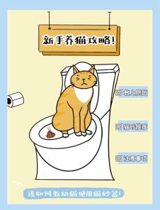 不能忍受猫上完厕所就上床，猫咪上床好还是不好？
