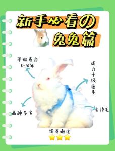 家里宠物兔不养了怎么处理，家有兔子送养帖，免费给爱心人士