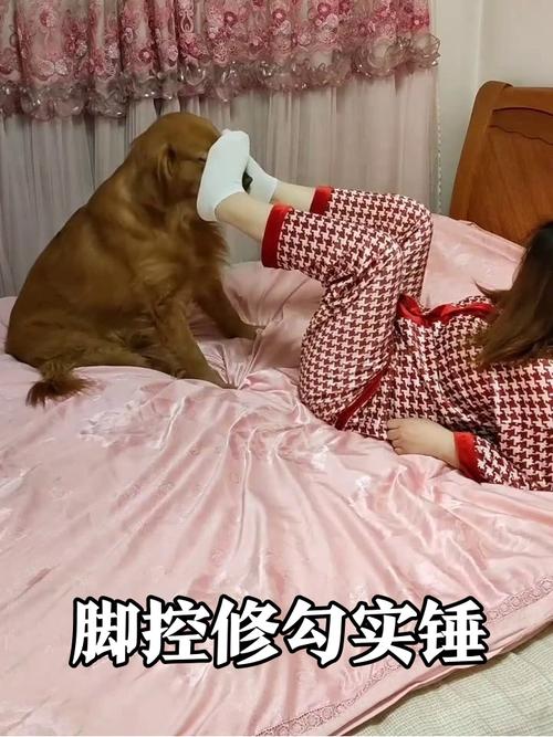 狗狗舔人脚是为什么,狗狗爱舔脚,是表达爱意和增进感情的方式 狗狗舔人脚是为什么,狗狗爱舔脚,是表达爱意和增进感情的方式